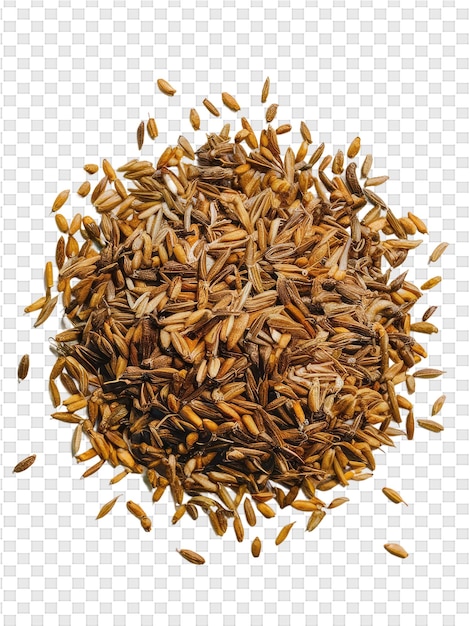 a pile of wheat on a transparent background