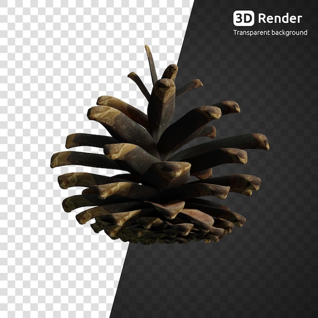 Pine cone 3d render isolated