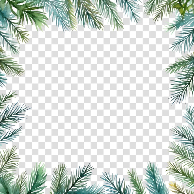 Pine leaves square border backgrounds pattern nature