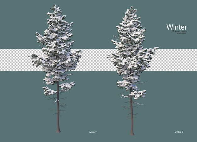 PSD pine trees of various sizes in winter