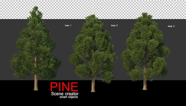 Pine trees of various sizes