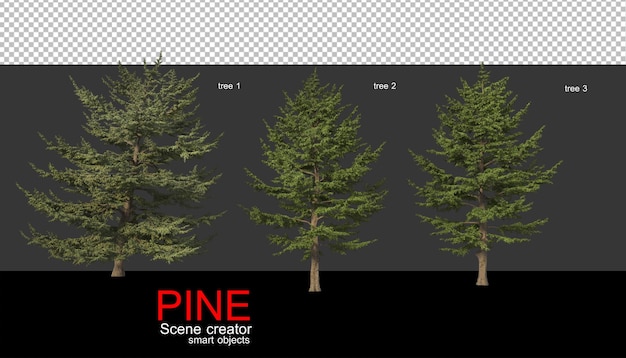 Pine trees of various sizes