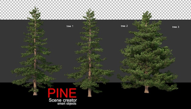 Pine trees of various sizes