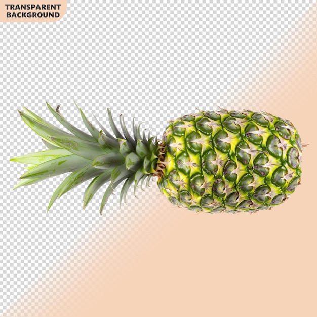 pineapple tropical fruit isolated on white background