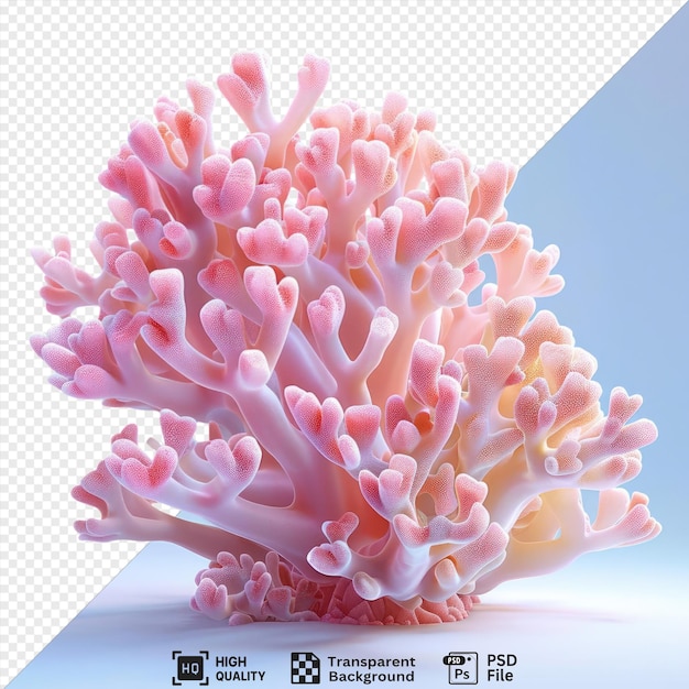 pink coral png image with a blue sky in the background and a white and pink flower in the foreground png psd