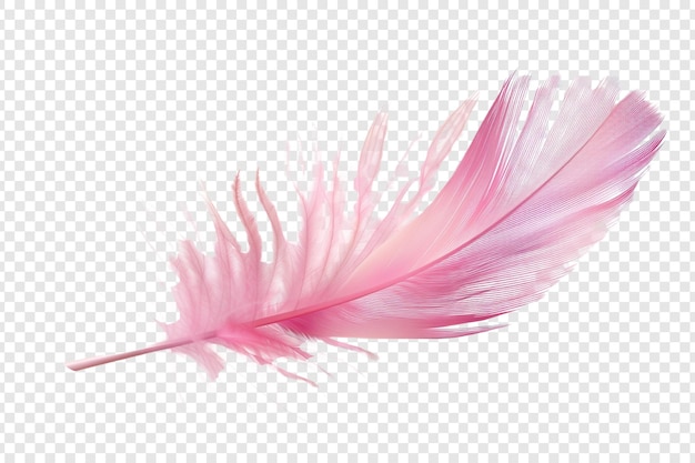 PSD pink feather isolated on transparent background