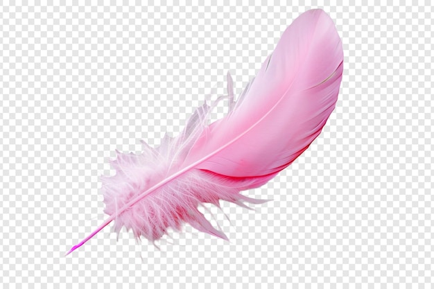 PSD pink feather isolated on transparent background