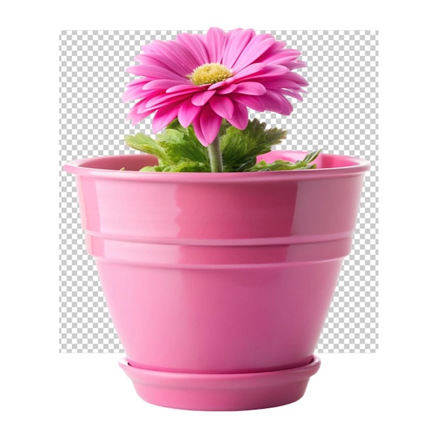 PSD pink flower in a brown flower pot isolated on transparent background