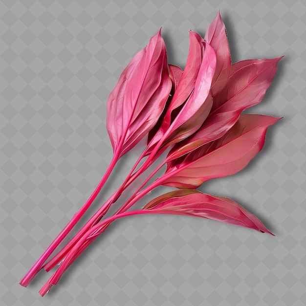 a pink flower with a red stem on a gray background