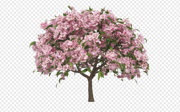 pink flowers on a tree