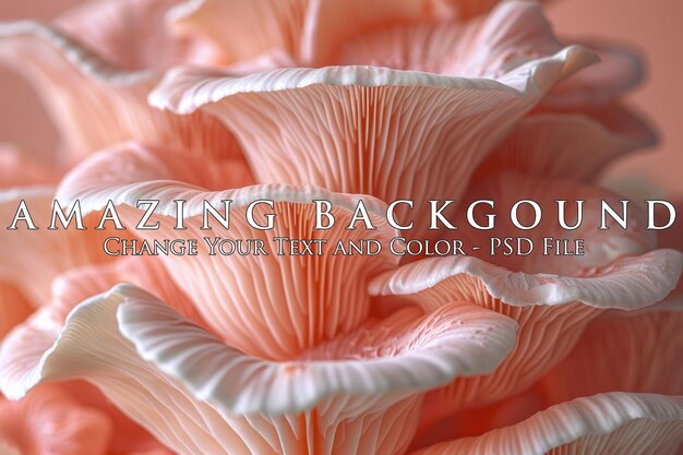 PSD pink oyster mushroom macro