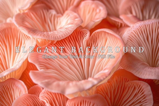 PSD pink oyster mushrooms closeup