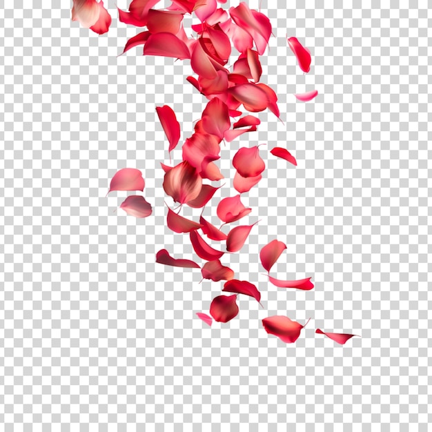 PSD pink petals falling on a transparent background