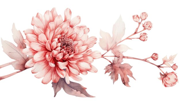 PSD pink and red dahlias with autumn leaves isolated on white background aig56