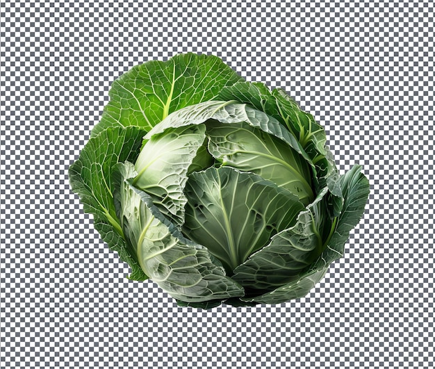 Piquant Cabbage isolated on transparent background