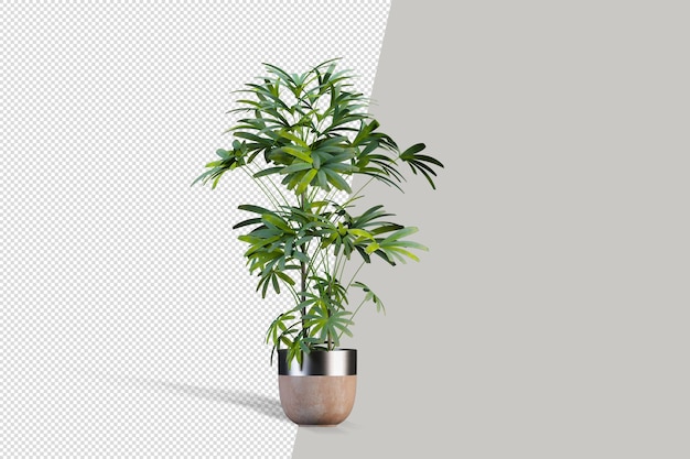 Plant in 3d rendering isolated