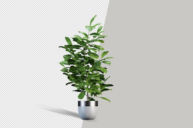 Plant in 3d rendering isolated