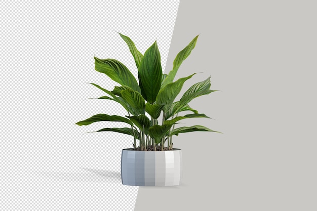 Plant in 3d rendering isolated