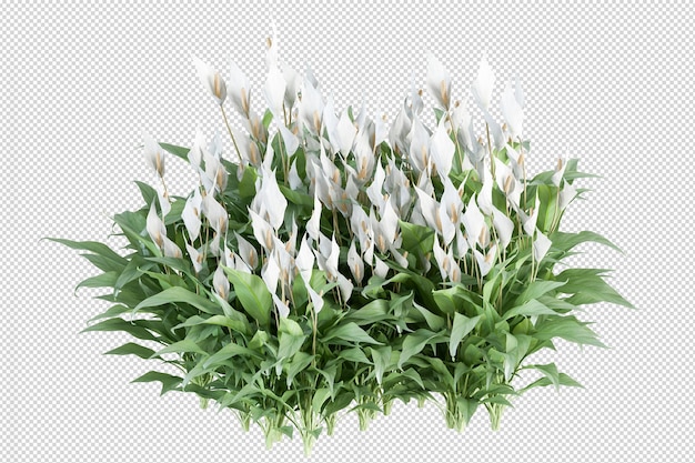 Plant in 3d rendering isolated