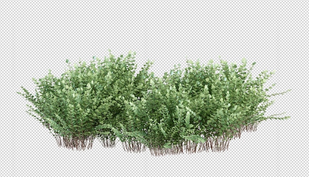 Plant in 3d rendering isolated