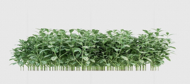 Plant in 3d rendering isolated