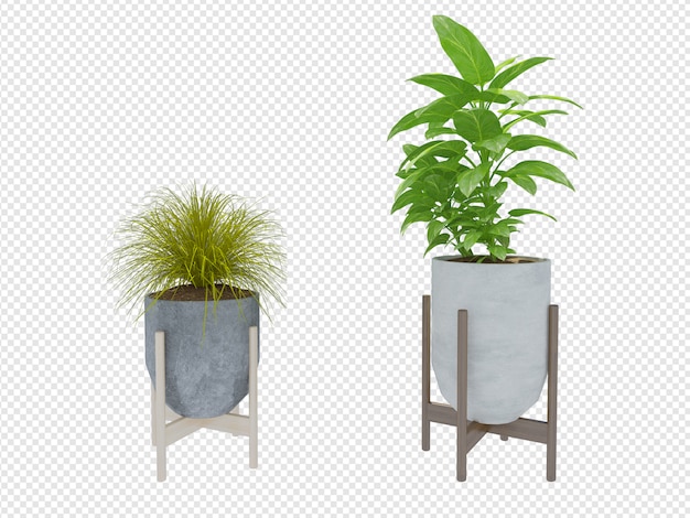 plant 3d rendering psd premium