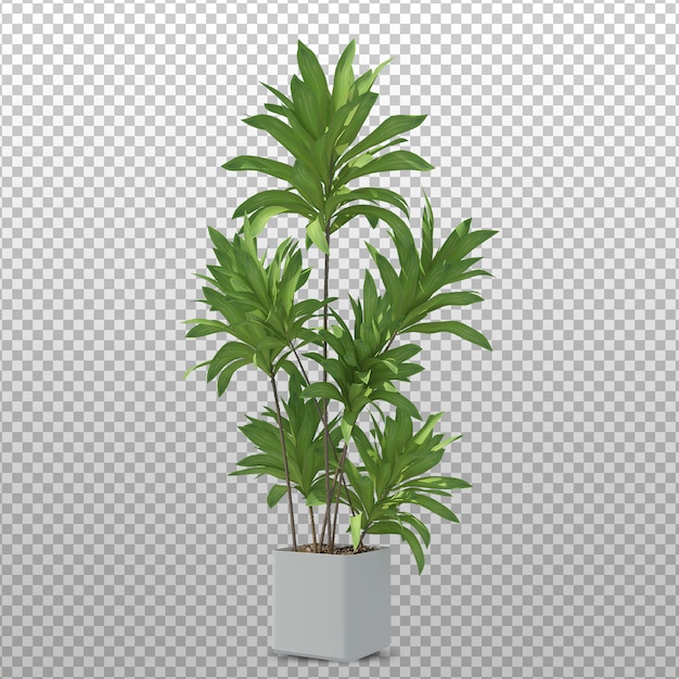 Plant 3d rendering