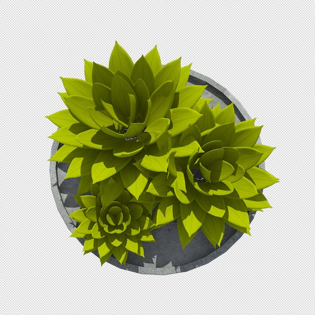 plant 3d rendering