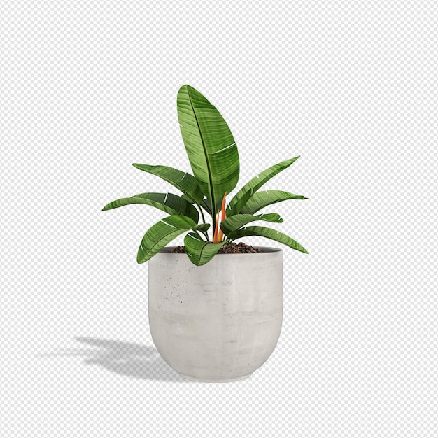 Plant 3d rendering