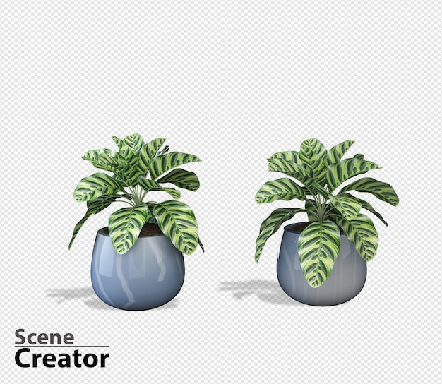 Plant 3d rendering