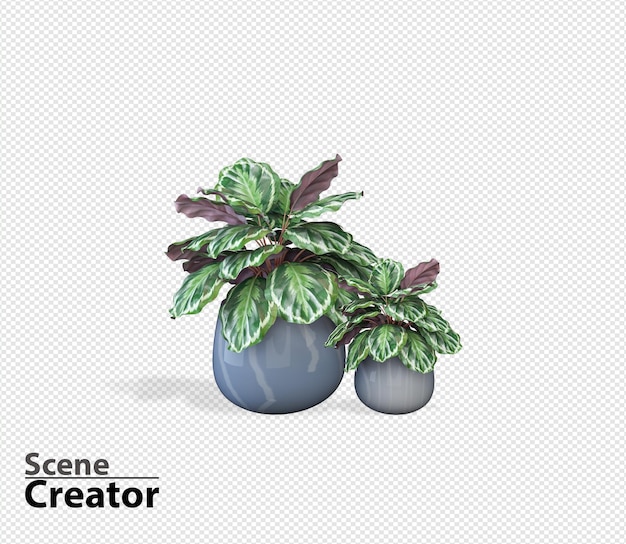 Plant 3d rendering