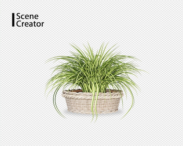 Plant 3d rendering