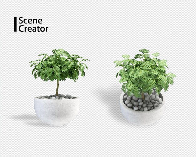 Plant 3d rendering