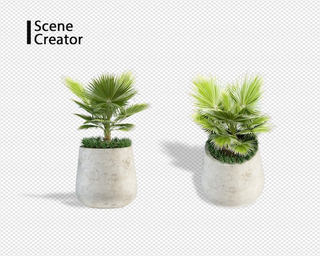 Plant 3d rendering