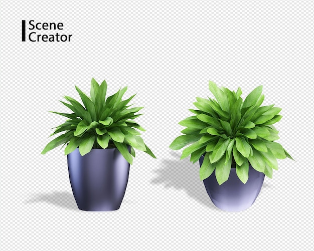 Plant 3d rendering