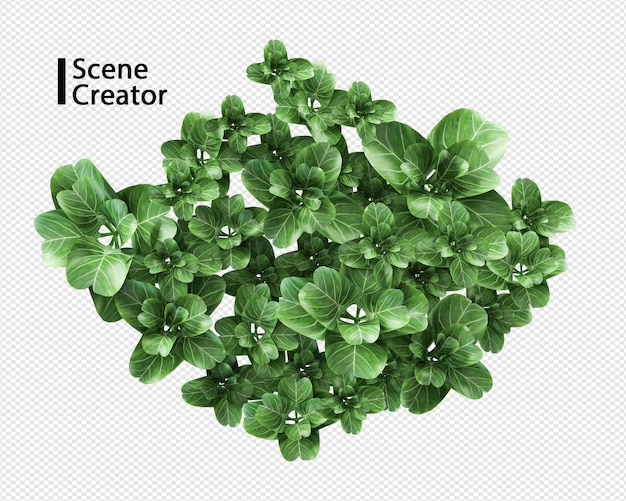 Plant 3d rendering