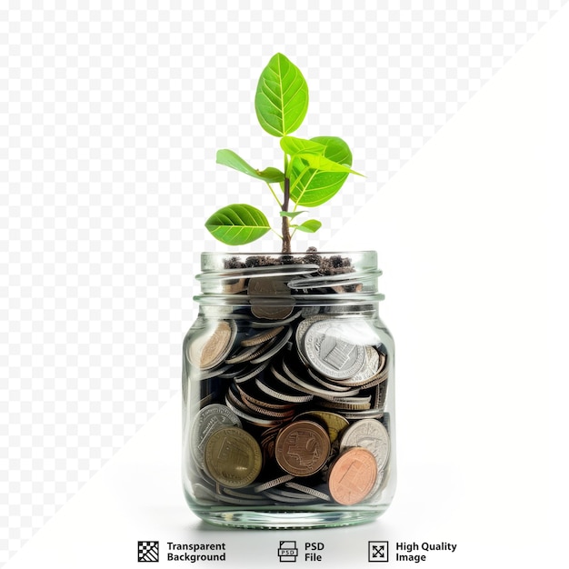 Plant growing from coins in glass jar isolated on white isolated background Investment and interest concept