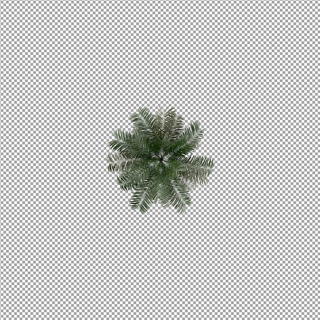 Plant isolated in 3d rendering