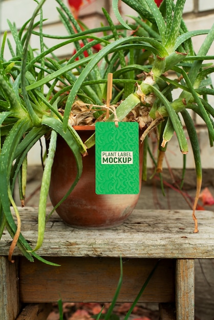 PSD plant label mockup design