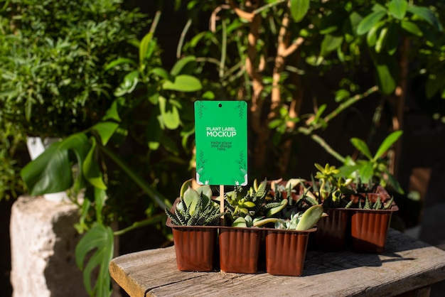 Plant label mockup design