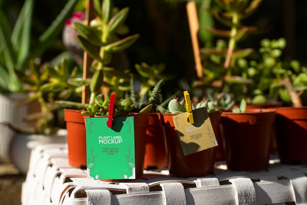 Plant label mockup design