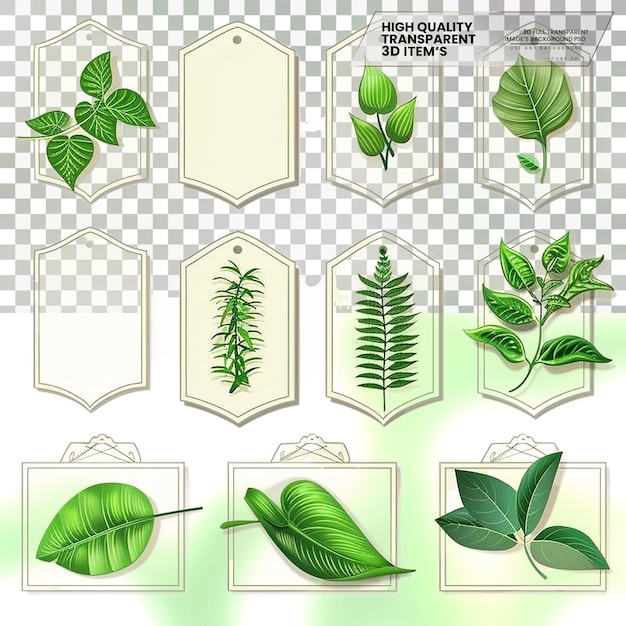 PSD plant labels for identifying plants on transparent background