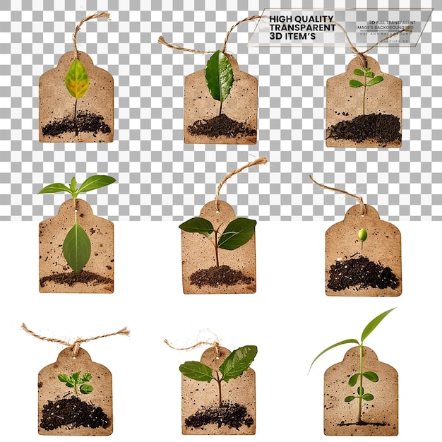 Plant Labels Labels Used for Identifying Plants on Transparent Background