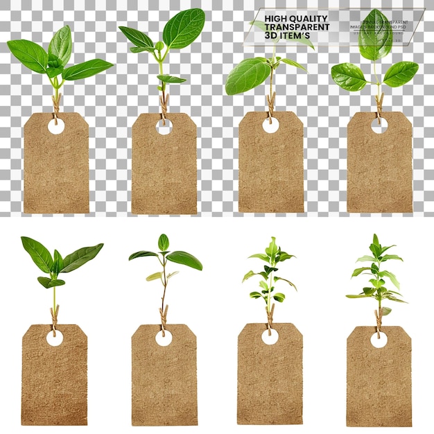 PSD plant labels labels used for identifying plants on transparent background