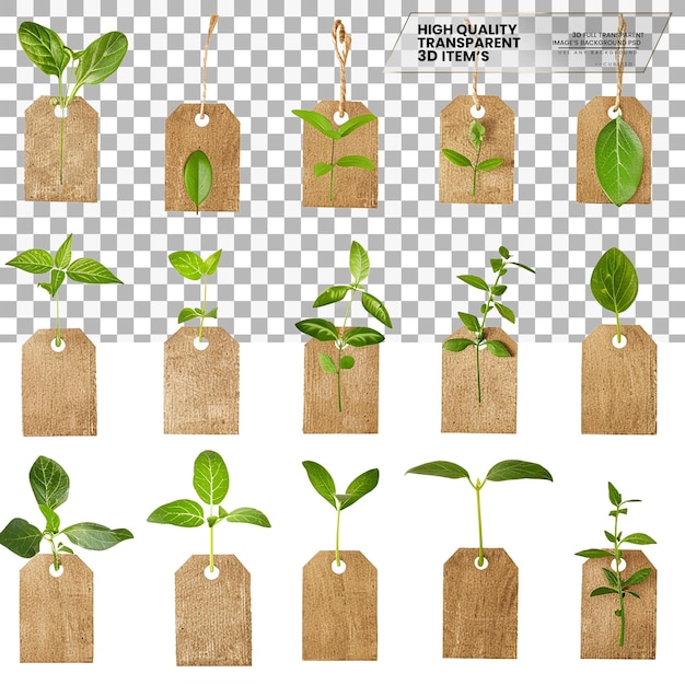 PSD plant labels labels used for identifying plants on transparent background