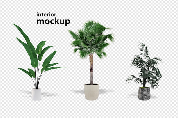 Plant mockup 3d rendering isolated rendered