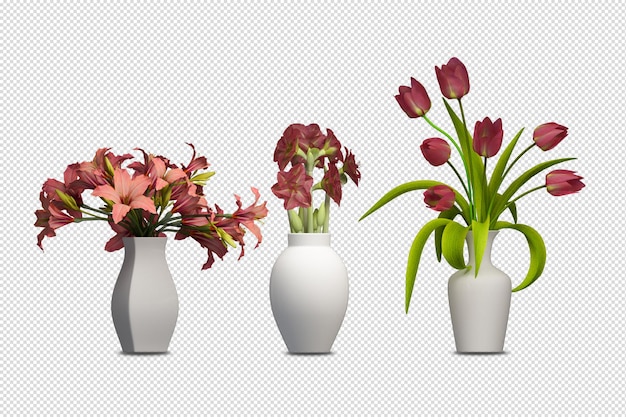 Plant mockup 3d rendering isolated