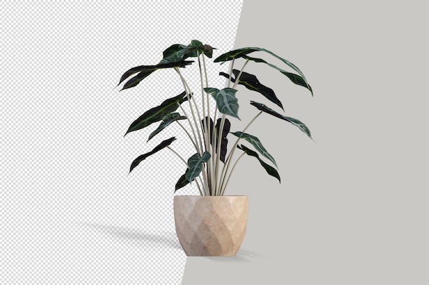 plant mockup isolated  resource