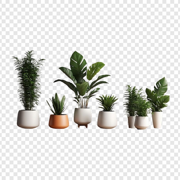 PSD plant in pot in 3d rendering isolated on transparent background