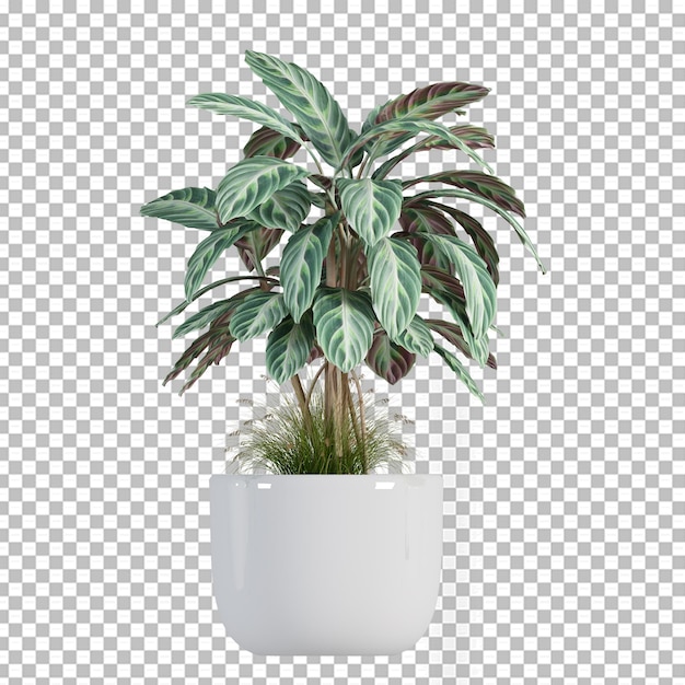 Plant in pot in 3d rendering isolated